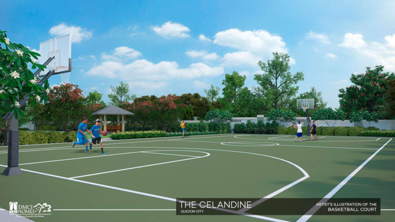 the-celandine-basketball-court
